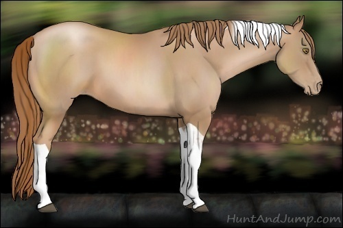 Horse Color:Chestnut Pearl Sabino Tobiano 