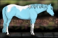 Horse Color:Watercolor Black Tobiano 