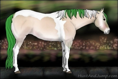 Horse Color:Watercolor Brown Roan Onyx Tobiano 