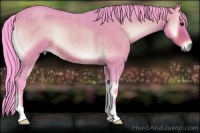Horse Color:Watercolor Brown Roan Onyx