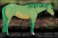 Horse Color:Watercolor Bay Roan 