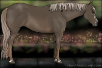 Horse Color:Chocolate Palomino Frame 