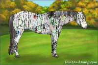 Horse Color:Gray Brown Ice Roan Tobiano Blanket Rabicano  and Gray White Spotted Bay Ice Tobiano Blanket Rabicano 