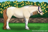 Horse Color:Classic Champagne Pearl Dun Sabino Tobiano 
