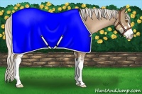 Horse Color:Silver Black Pearl Sabino