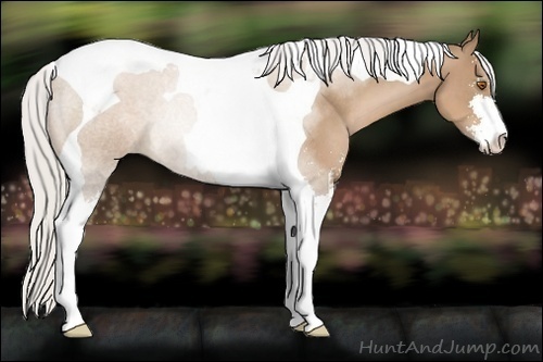 Horse Color:Silver Black Pearl Sabino Tobiano Rabicano 