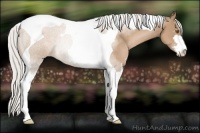 Horse Color:Silver Black Pearl Sabino Tobiano Rabicano