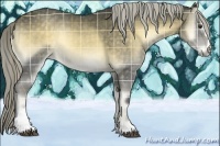 Horse Color:Plaid  Chocolate Palomino Onyx Sabino 