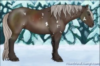 Horse Color:White Spotted Silver Brown Rabicano 