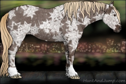 Horse Color:Liver Red Ice Roan 