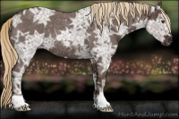 Horse Color:Liver Red Ice Roan 