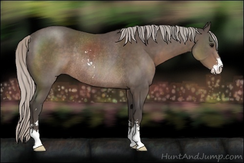 Horse Color:Silver Black Sabino Rabicano 