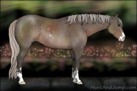 Horse Color:Silver Black Sabino Rabicano 