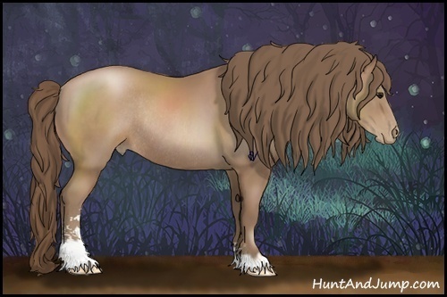 Horse Color:Black Pearl Sabino Rabicano 