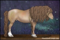 Horse Color:Black Pearl Sabino Rabicano