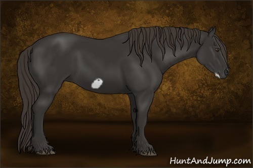 Horse Color:Liver Chestnut Frame