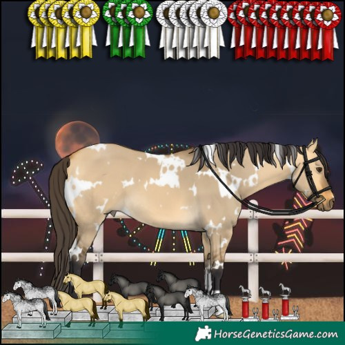 Horse Color:White Spotted Buckskin Dun
