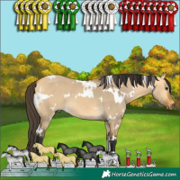 Horse Color:White Spotted Buckskin Dun 