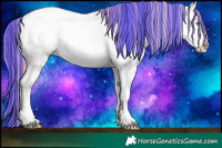 Horse Color:Painted White Spotted Silver Classic Champagne Pearl Dun Near Leopard