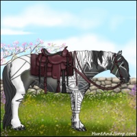 Horse Color:Black Tobiano