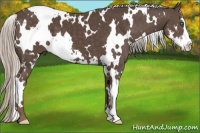 Horse Color:White Spotted Silver Black Splash Frame