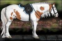 Horse Color:White Spotted Silver Brown Splash Tobiano Varnish 