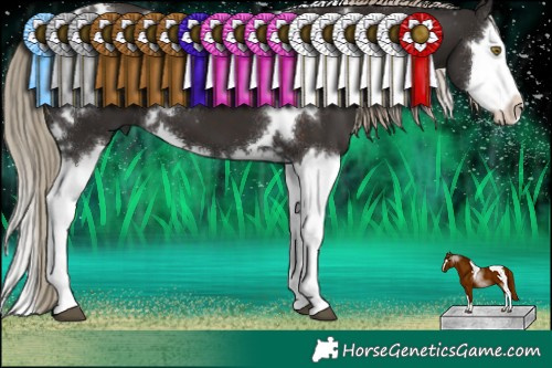 Horse Color:White Spotted Liver Chestnut Splash 