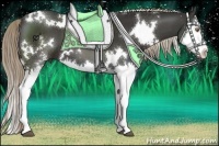 Horse Color:White Spotted Liver Chestnut Splash