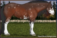 Horse Color:Brown Sabino