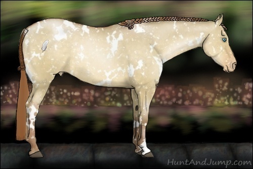 Horse Color:White Spotted Brown Pearl Dun Snowflake VarnishRabicano 