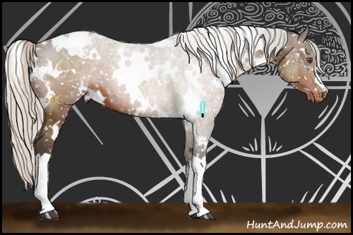 Horse Color:White Spotted Silver Brown Appaloosa