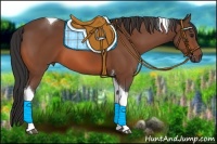 Horse Color:Bay Tobiano