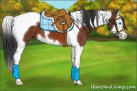 Horse Color:Bay Splash Tobiano 