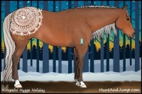 Horse Color:Silver Bay Roan 