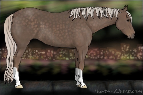Horse Color:Silver Black 