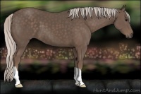 Horse Color:Silver Black 
