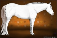 Horse Color:Red Dun Snowflake Varnish