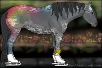 Horse Color:Black Ice 