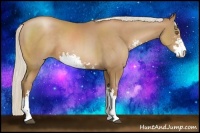 Horse Color:Silver Black Pearl Sabino 