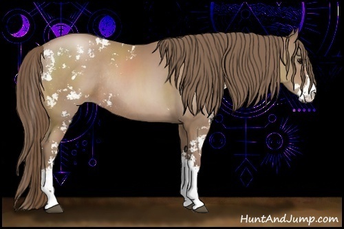 Horse Color:Black Pearl Sabino Rabicano