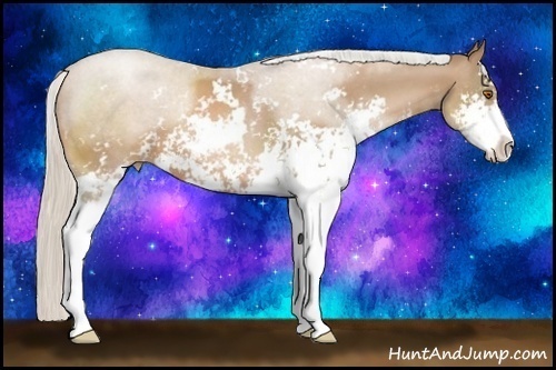 Horse Color:Silver Black Pearl Sabino 