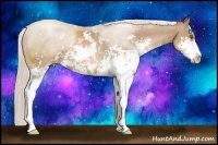 Horse Color:Silver Black Pearl Sabino