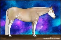 Horse Color:Silver Black Pearl Sabino Rabicano 
