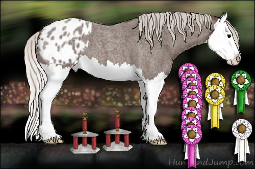 Horse Color:Silver Blue Roan Splash Appaloosa 