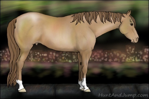 Horse Color:Black Pearl 