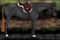 Horse Color:Liver Chestnut Sabino 