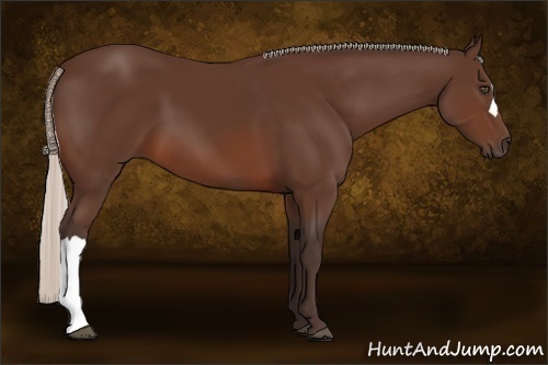 Horse Color:Silver Brown