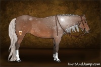 Horse Color:Silver Brown 