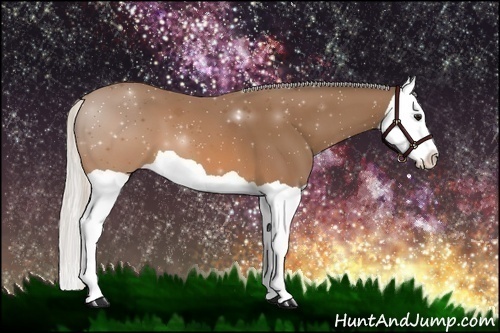 Horse Color:Silver Brown Splash