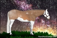 Horse Color:Silver Brown Splash